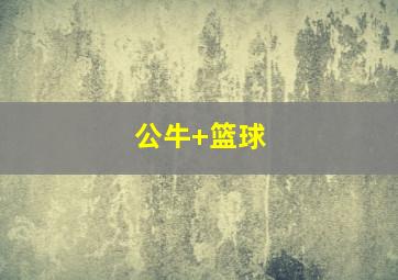 公牛 篮球